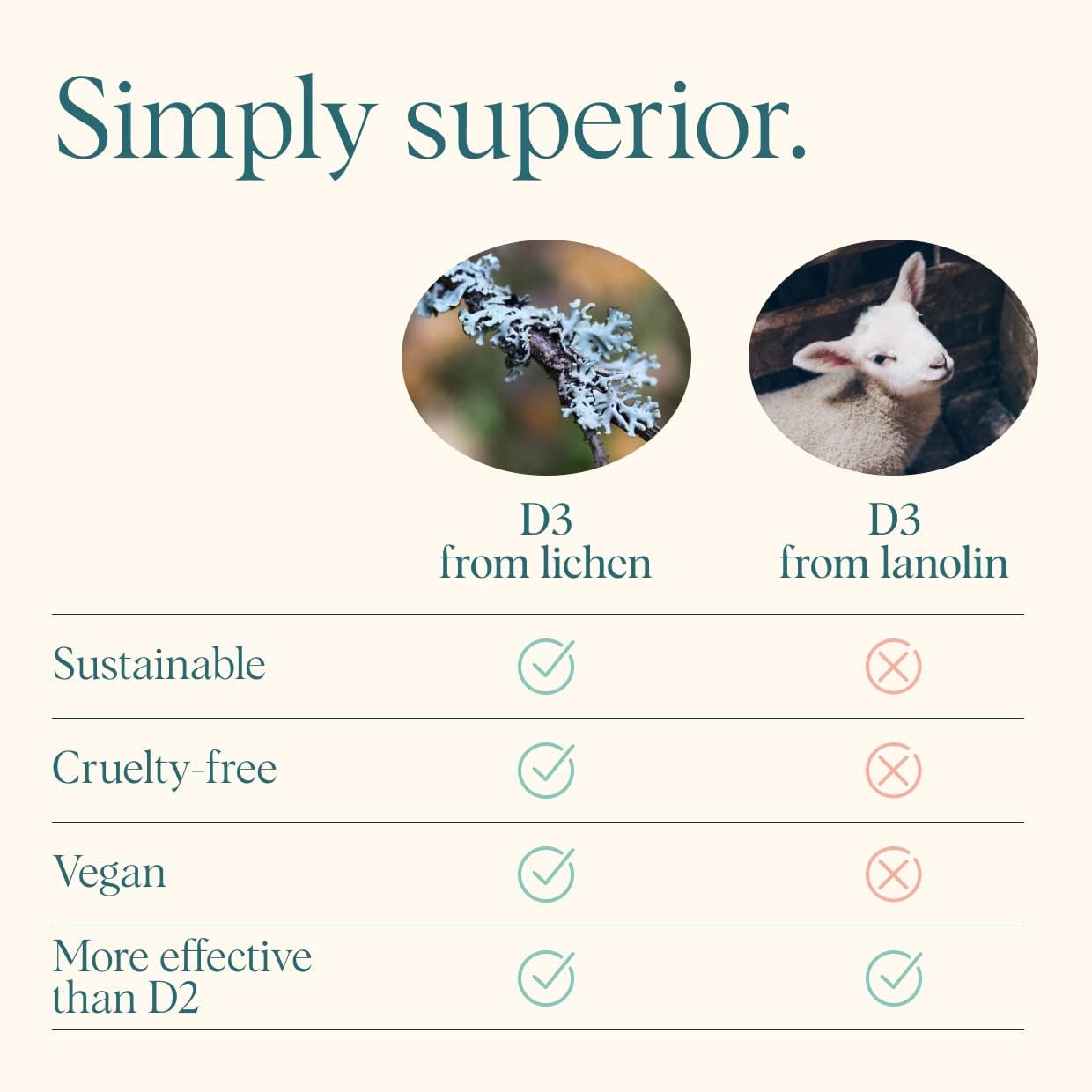 Ora Organic Vegan Vitamin D3 Chewables 2000 IU lifestyle scene
