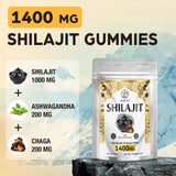 ORBILIVE Gold Shilajit Gummies with Chaga and Ashwagandha ingredients