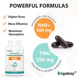 Orgabay Liposomal NAD+ Supplement 500 mg ingredients list