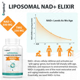 Orgabay Liposomal NAD+ Supplement 500 mg softgel close-up