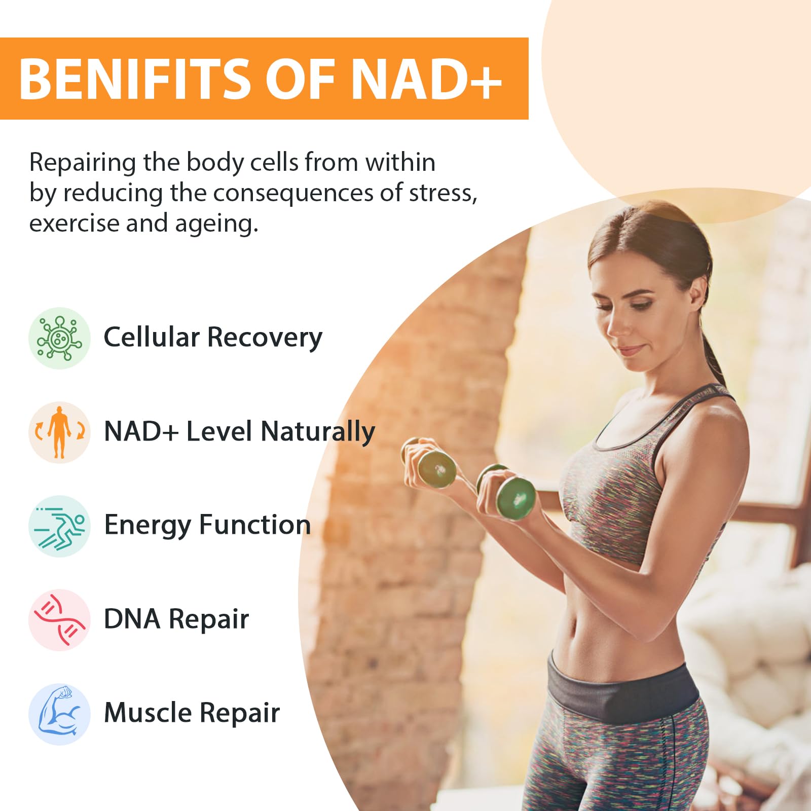 Orgabay Liposomal NAD+ Supplement 500mg back view packaging