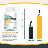 Orgabay Liposomal Nicotinamide Riboside 1500mg softgel bottle