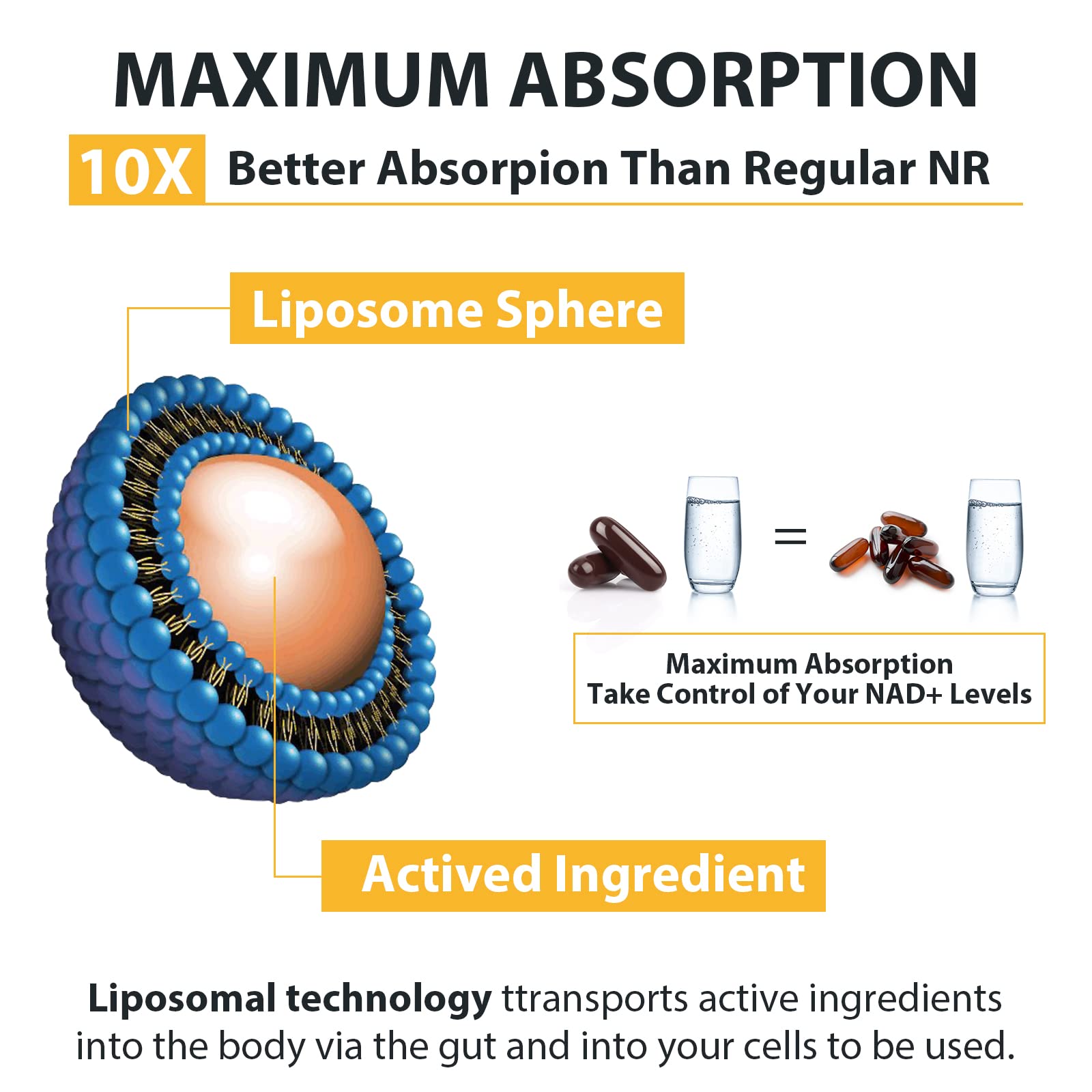 Orgabay Nicotinamide Riboside 1500mg ingredients list
