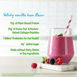 Orgain Plant Protein Plus Collagen 726g mixed in a smoothie