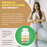 Organic Aura International Ginger Root Capsules packaging