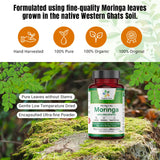 Organic Aura International Moringa Capsules 100g lifestyle shot with green leaves