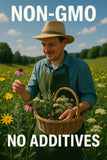 Organic Bio Herbs Echinacea Flowers used in herbal tea