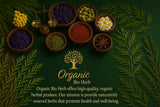Organic Bio Herbs Echinacea Flowers with natural background