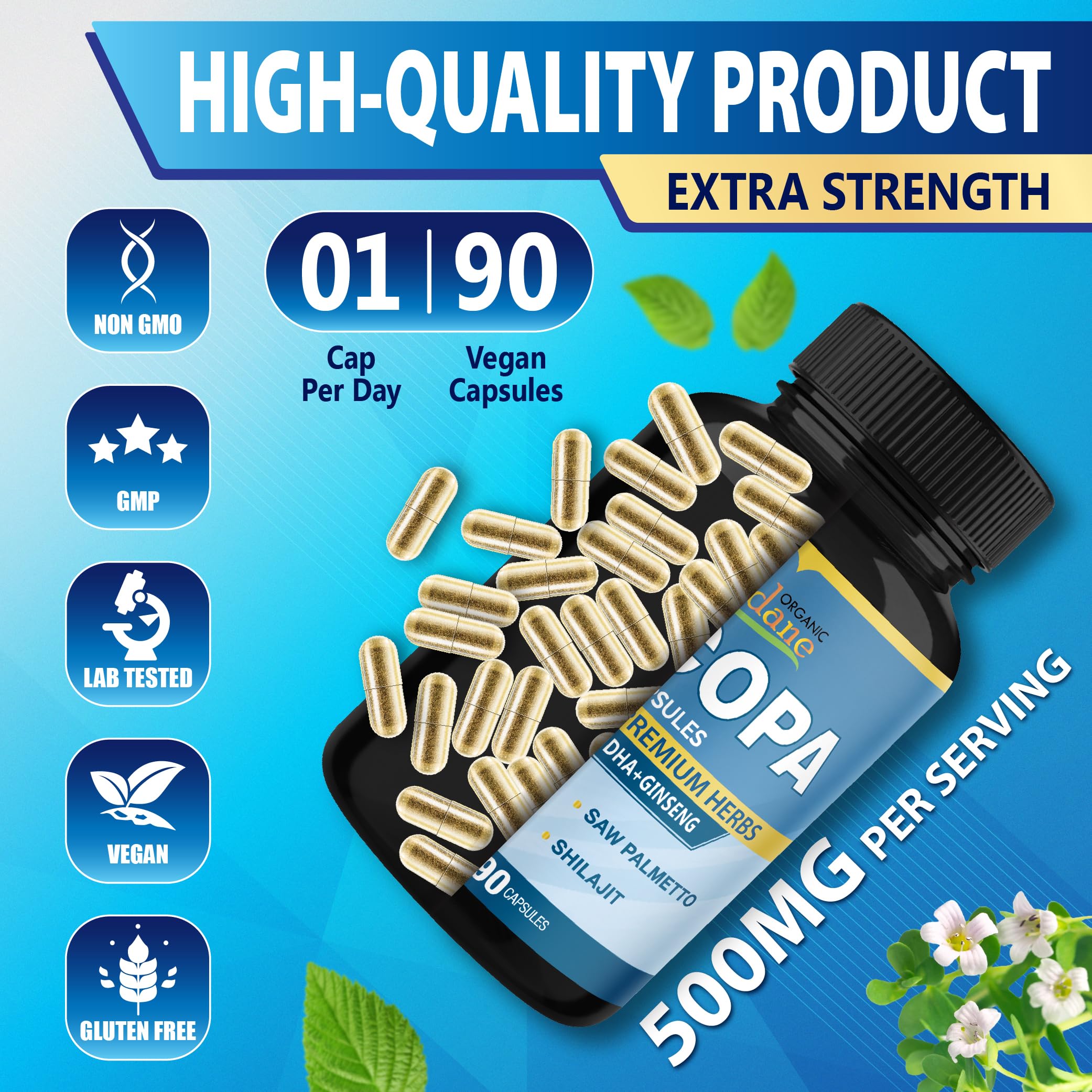 Organic Cadane Bacopa Supplement Capsules displayed with herbs