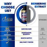 Organic Cadane Berberine Capsules close-up of a single capsule