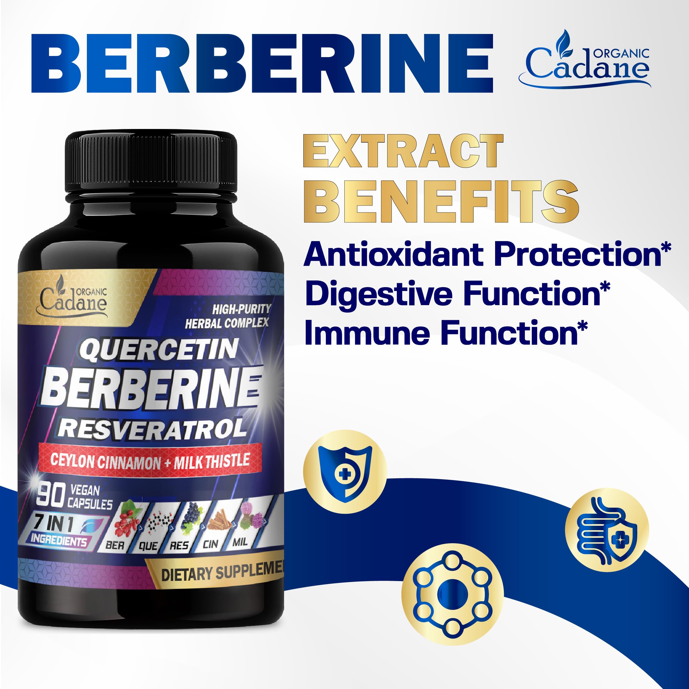 Organic Cadane Berberine Capsules lifestyle scene with water