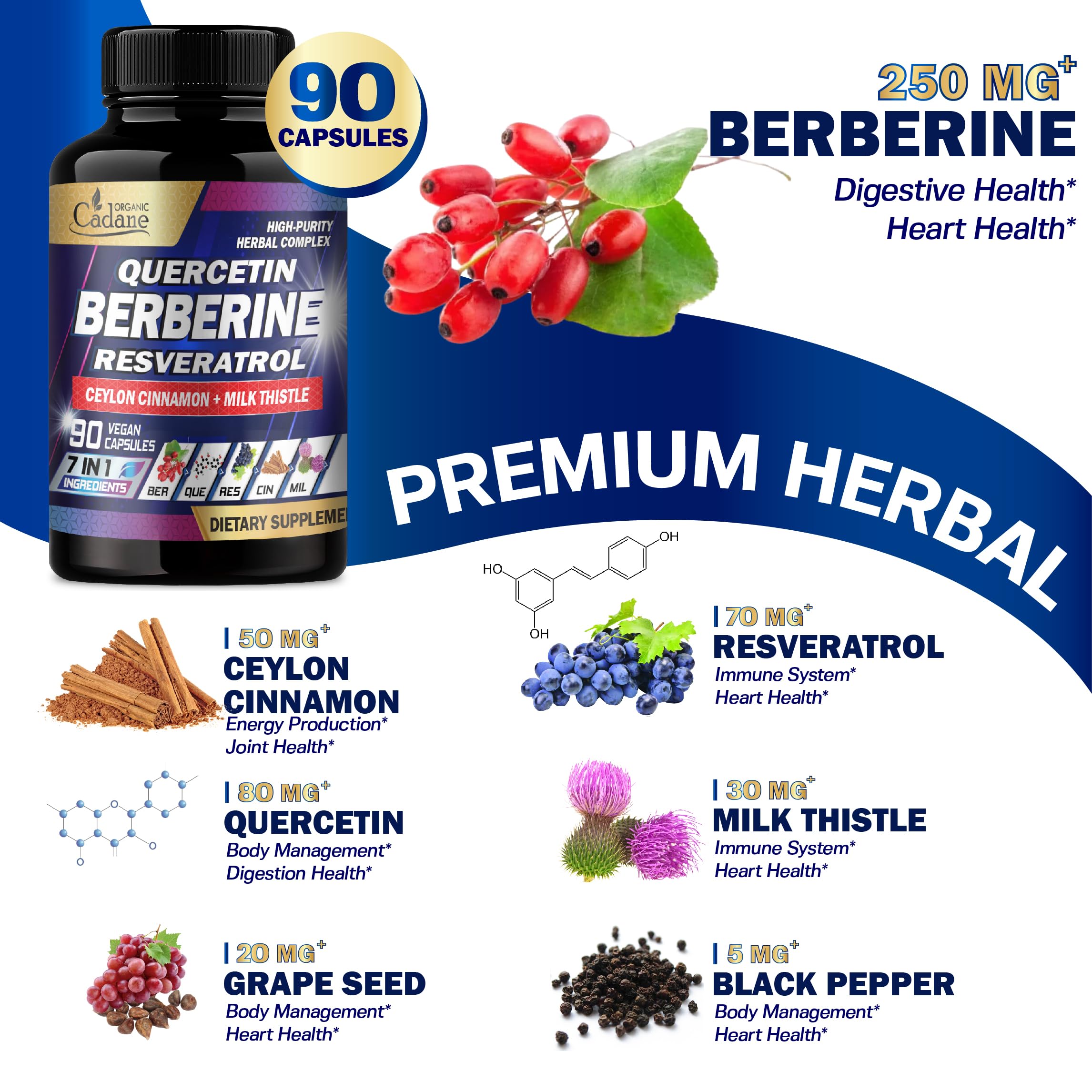 Organic Cadane Berberine Capsules opened bottle with capsules