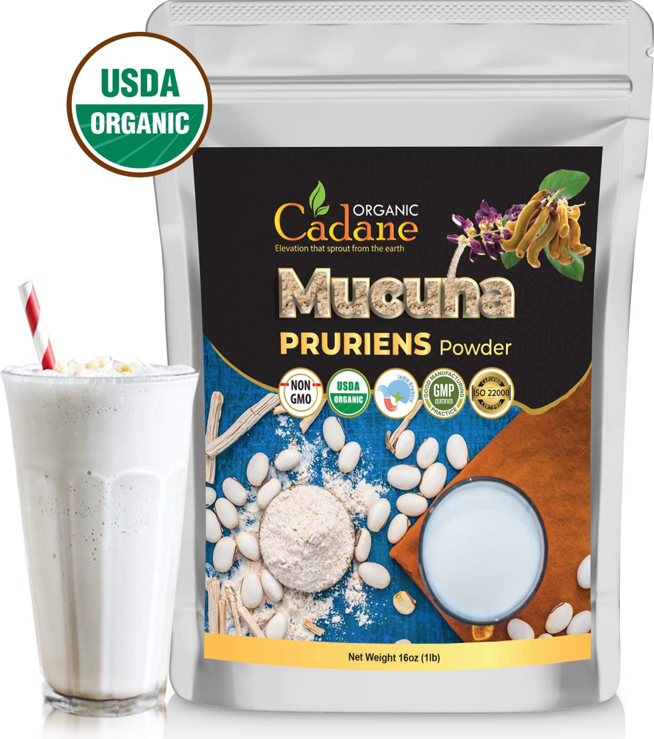 Organic Cadane Mucuna Powder 454g close-up of powder texture