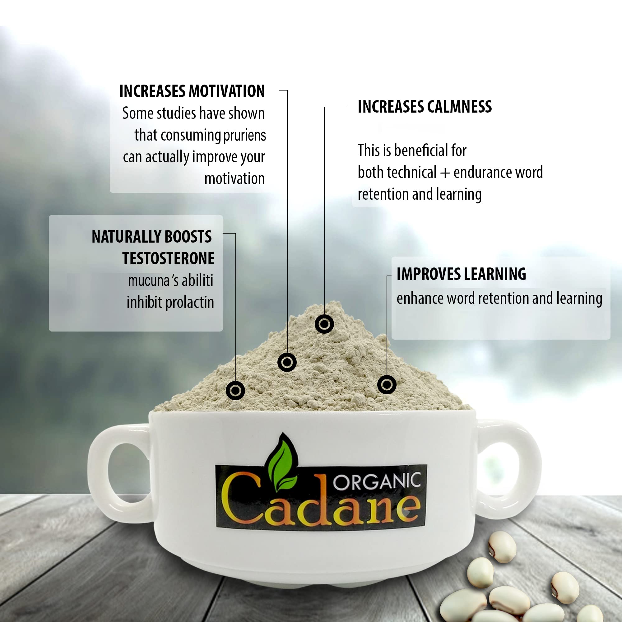 Organic Cadane Mucuna Powder 454g in a bowl with honey