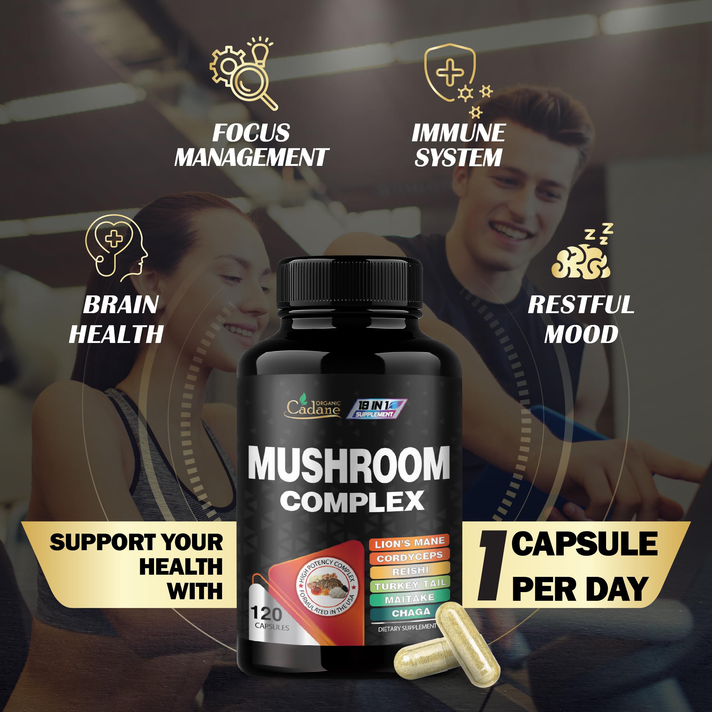 Organic Cadane Mushroom Supplement ingredients list