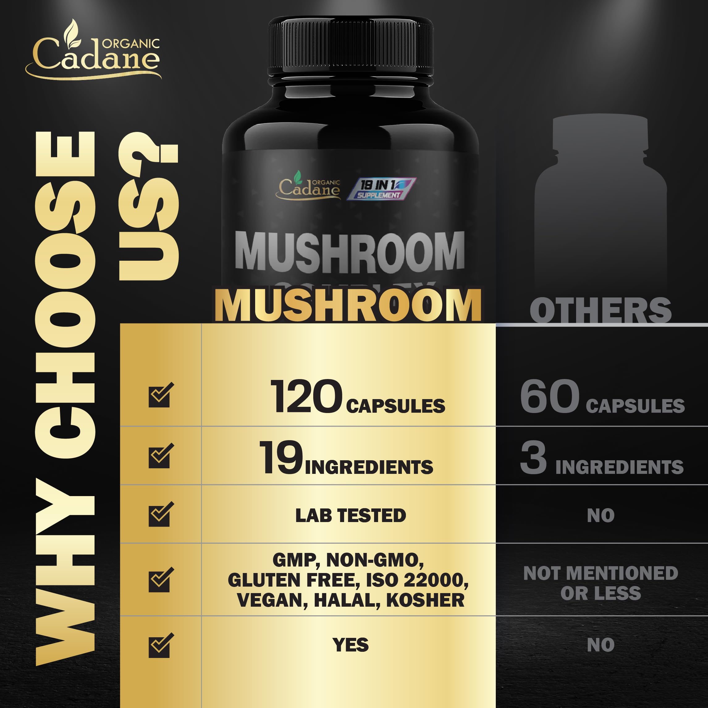 Organic Cadane Mushroom Supplement with measuring scoop