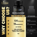 Organic Cadane Mushroom Supplement with measuring scoop