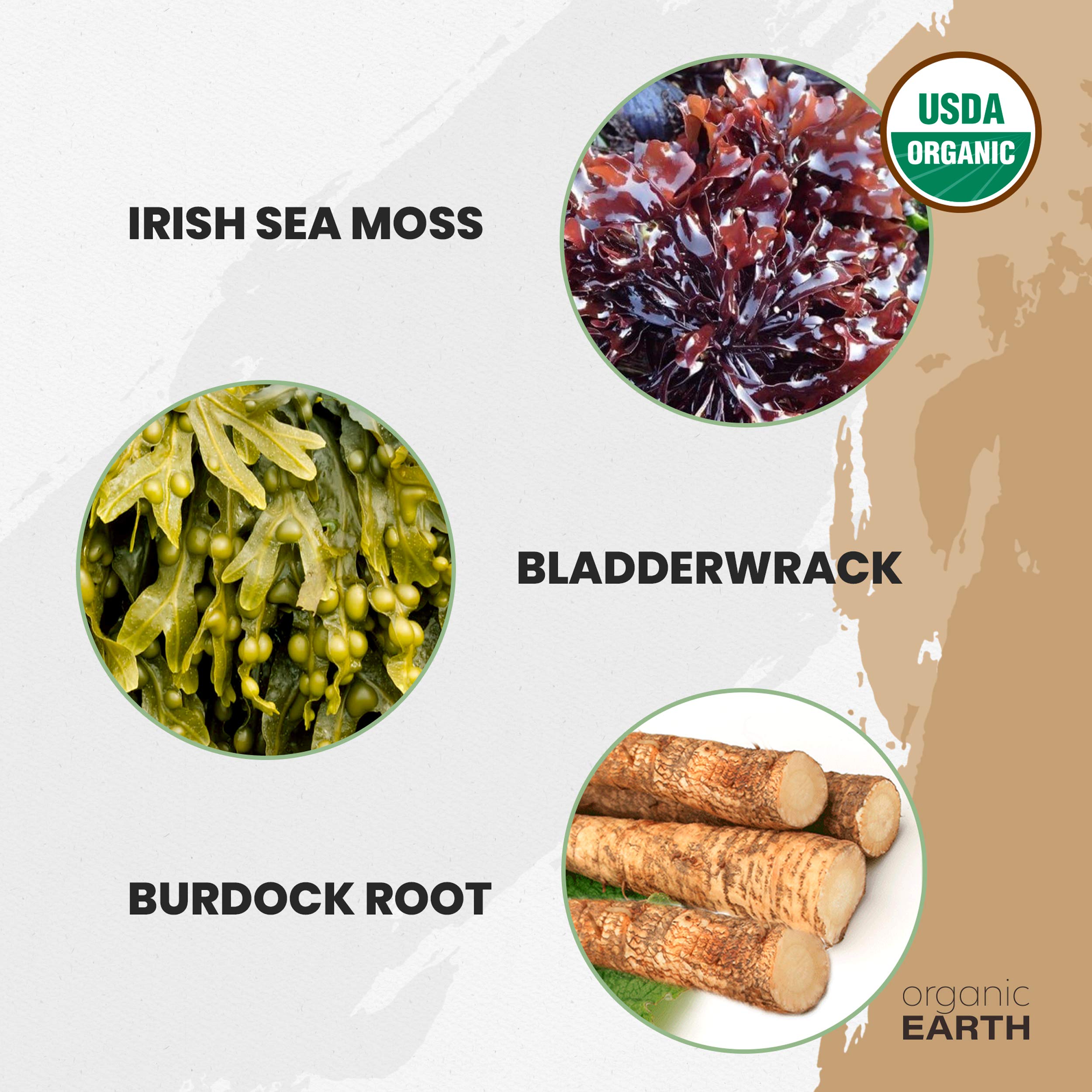 Organic Earth Irish Sea Moss Powder 227g product close-up