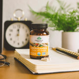 ORGANIC INDIA Ashwagandha Capsules in natural setting