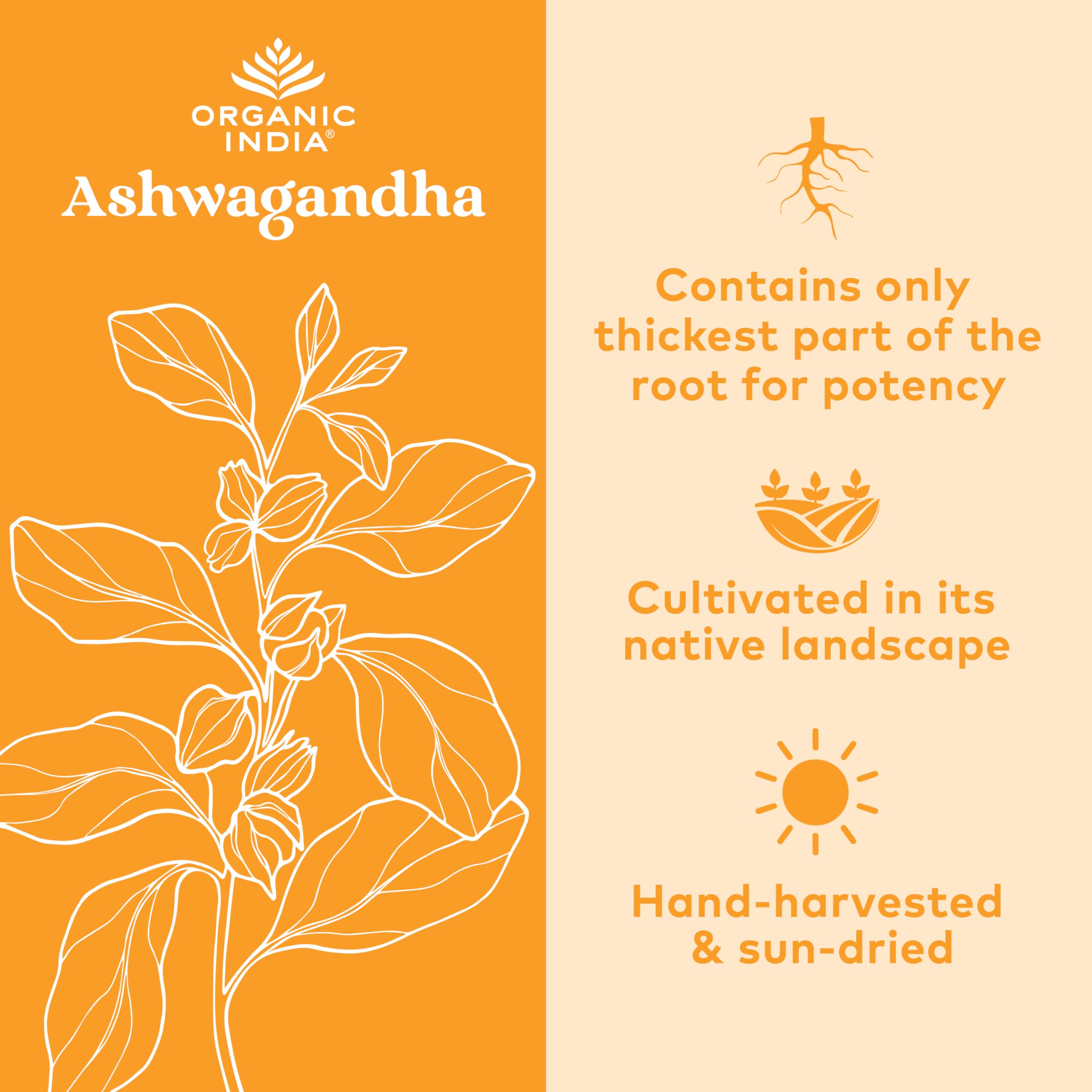 ORGANIC INDIA Ashwagandha Capsules on wooden table