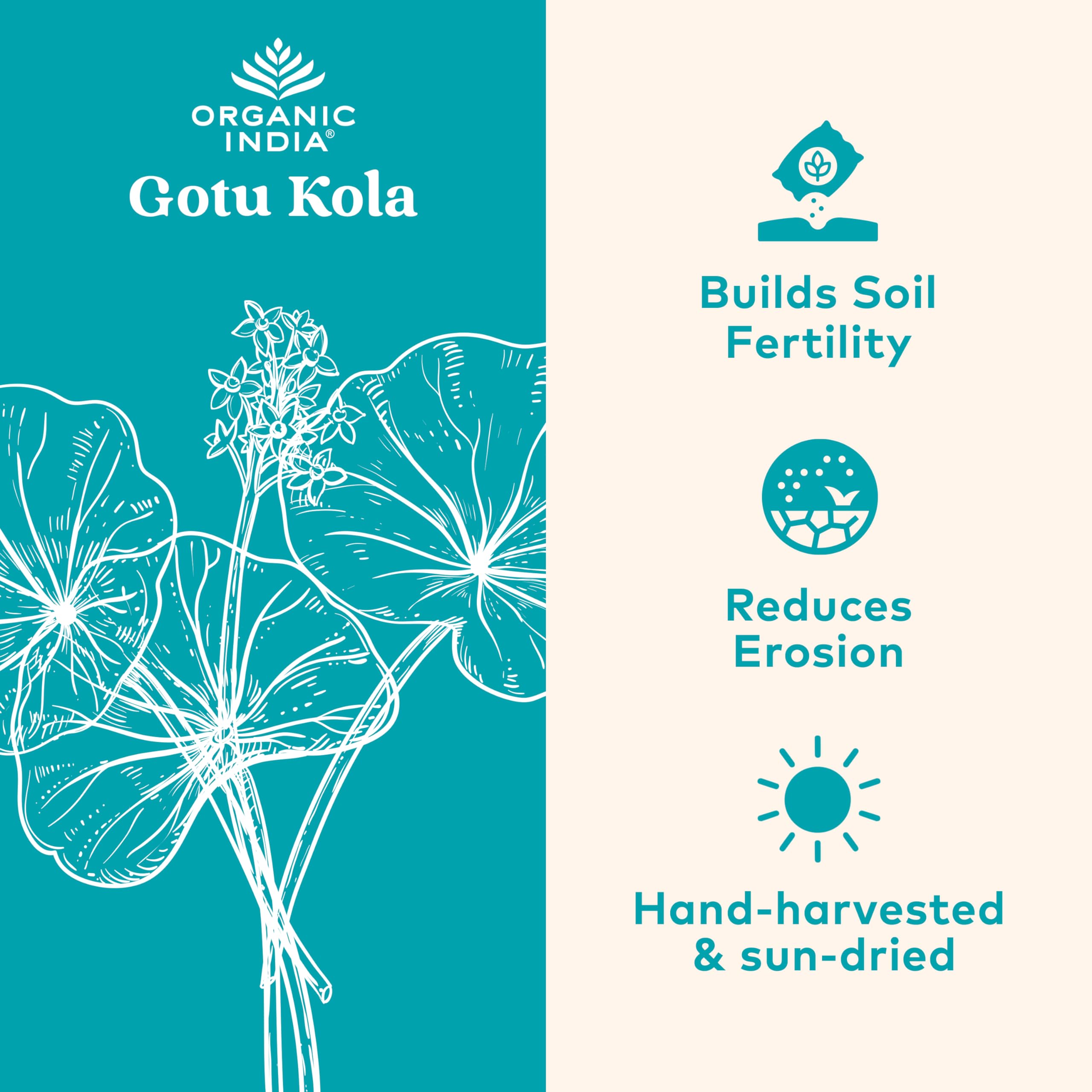 ORGANIC INDIA Gotu Kola Capsules side view showing label