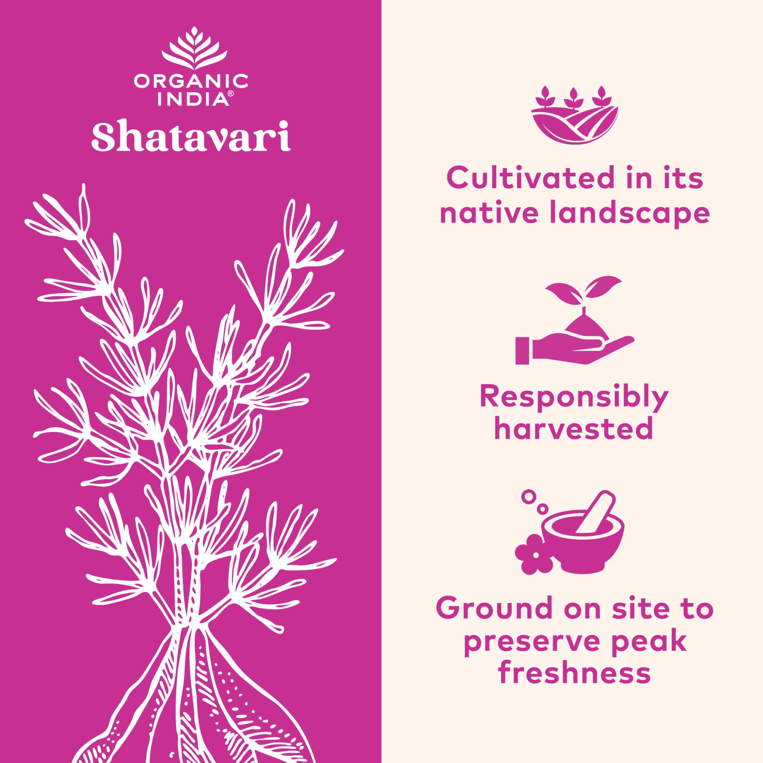 Organic India Shatavari 90 V-Capsules bottle with label