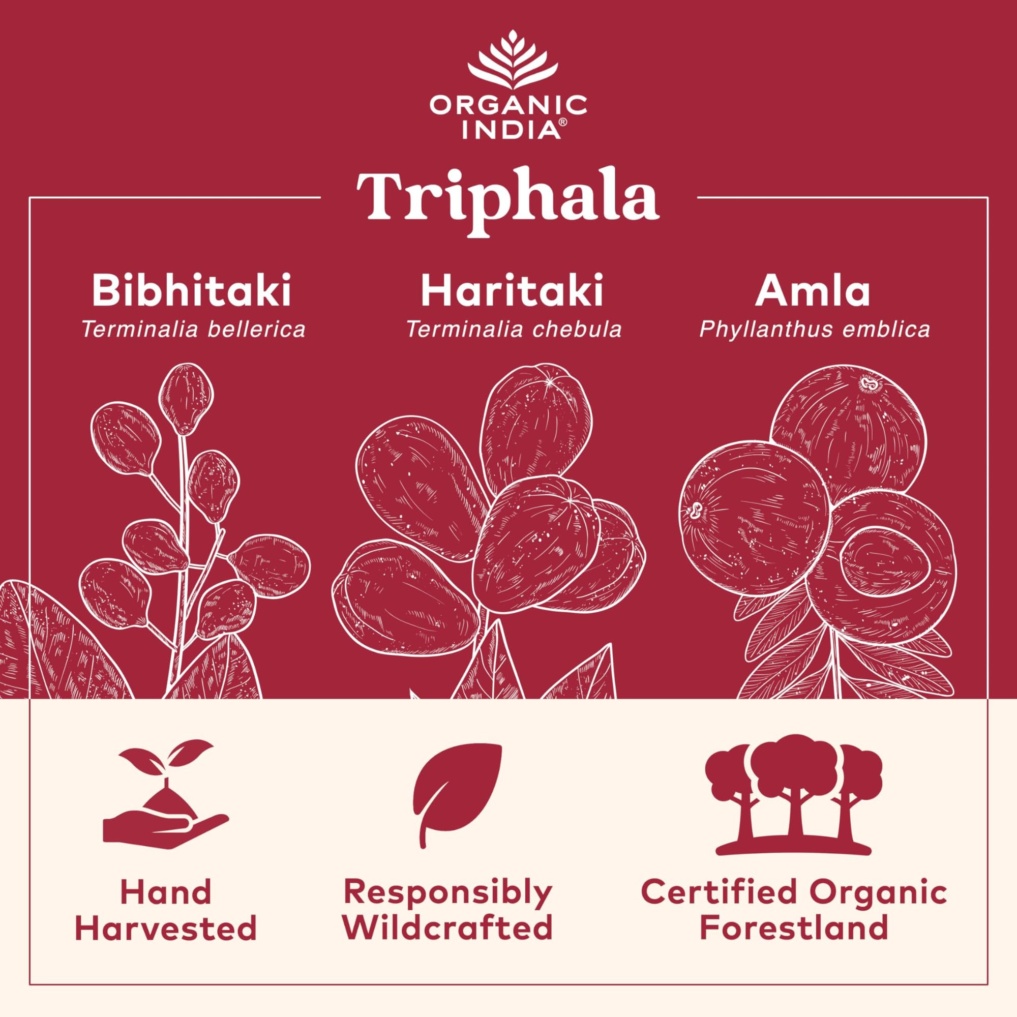 ORGANIC INDIA Triphala Herbal Supplement back view with ingredient list