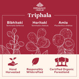ORGANIC INDIA Triphala Herbal Supplement back view with ingredient list