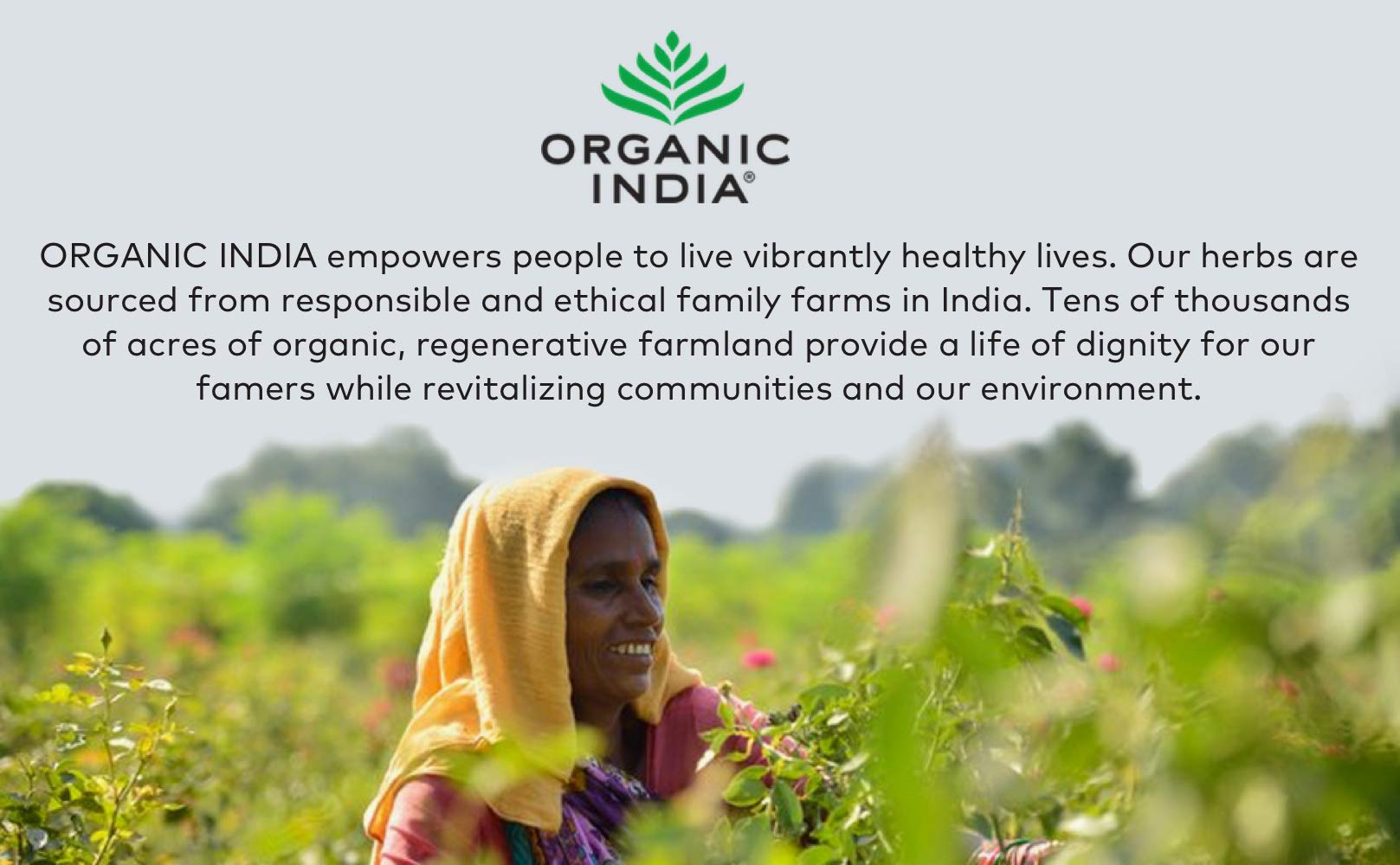 Organic India Triphala Powder with herbs background