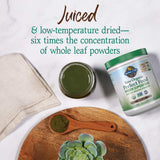 Organic ingredients in Garden of Life Greens Powder