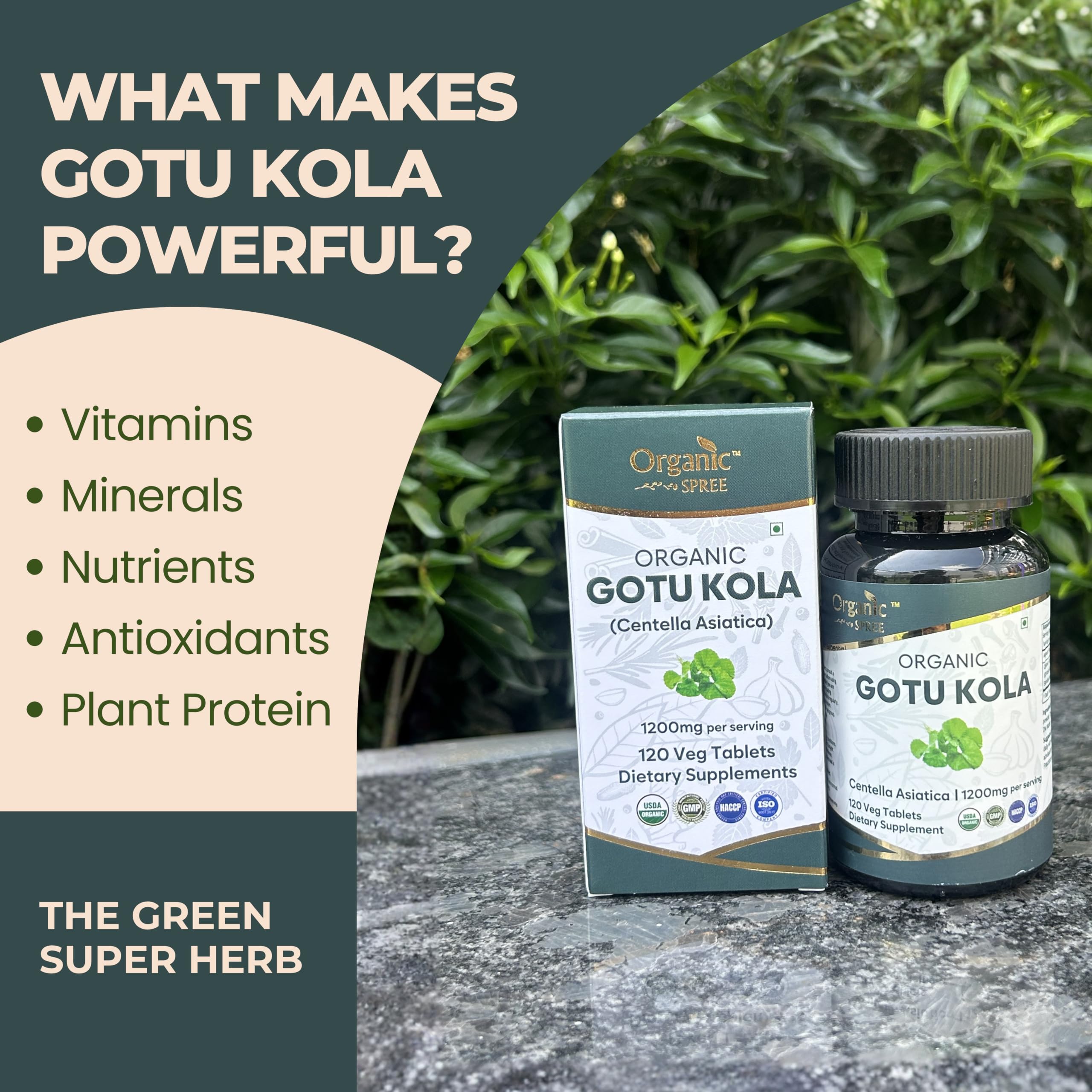ORGANIC SPREE Gotu Kola bottle with tablets on a table
