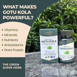 ORGANIC SPREE Gotu Kola bottle with tablets on a table