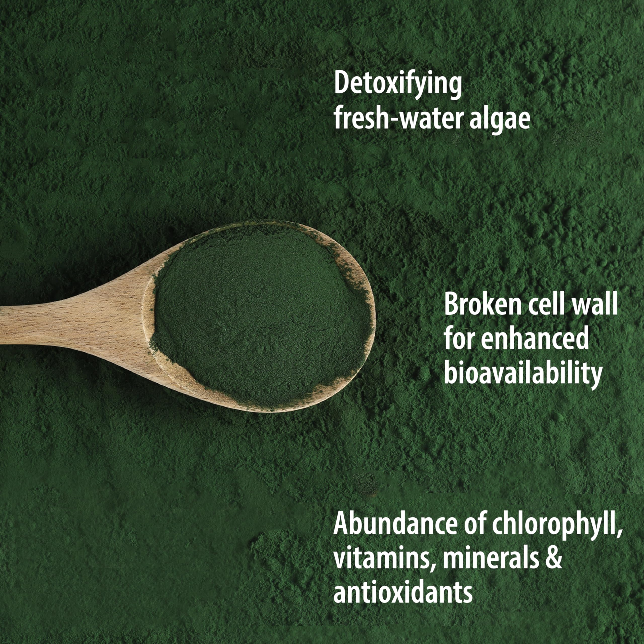 Organic Traditions Chlorella Powder in a bowl with spoon