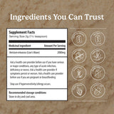 Organic Traditions Lion's Mane Mushroom Powder side view with nutritional information