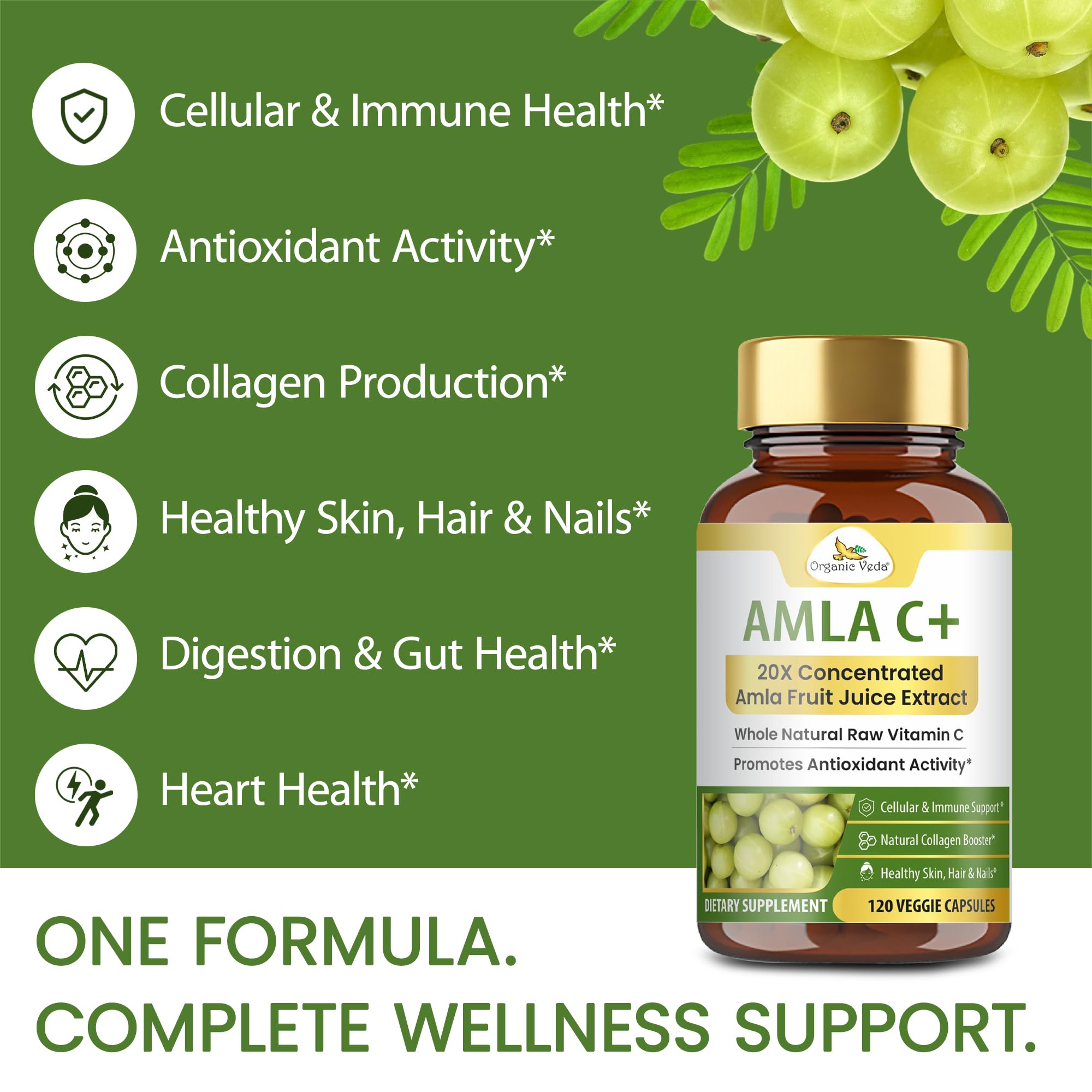 Organic Veda Amla Vitamin C Capsules ingredients close-up