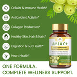 Organic Veda Amla Vitamin C Capsules ingredients close-up