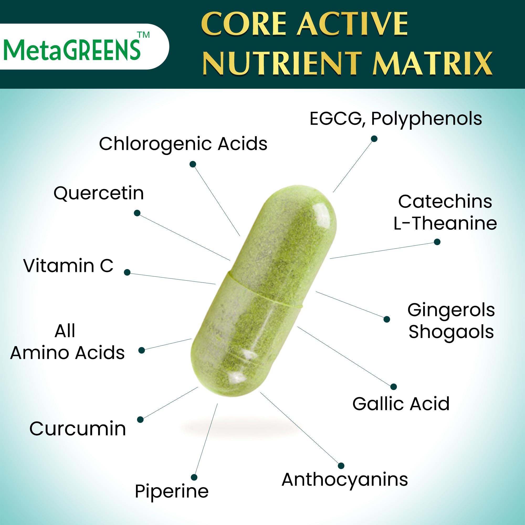 Organic Veda Green Tea 10-in-1 Supplement capsules close-up