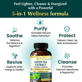 Organic Veda Green Tea 10-in-1 Supplement ingredients list