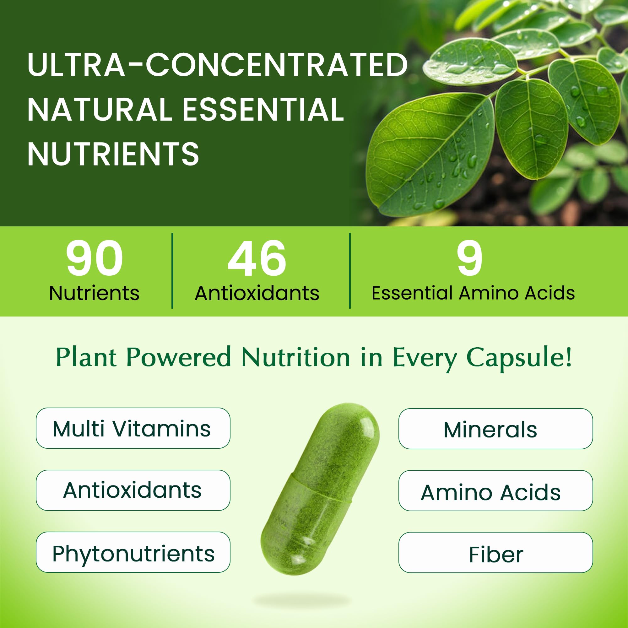 Organic Veda Moringa Capsules bottle side view