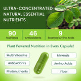 Organic Veda Moringa Capsules bottle side view