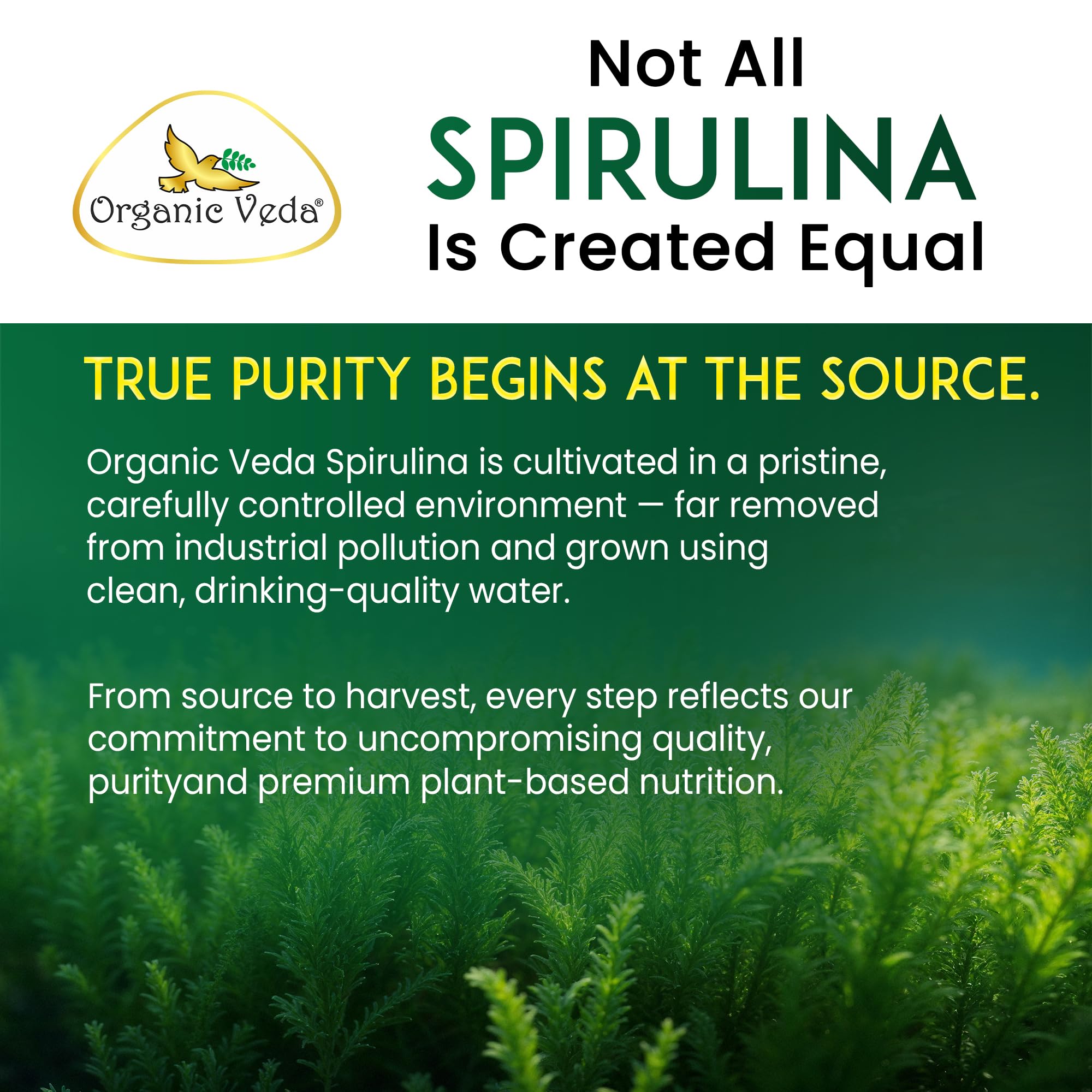 Organic Veda Spirulina Capsules 100g packaging details