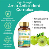 Organic Veda Triphala Capsules with fresh Amla fruit
