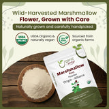 Organic Way Marshmallow Root Powder in a wooden spoon