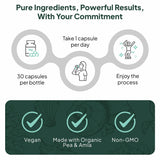 Organics Ocean Better Iron ingredients list on packaging