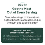 Organics Ocean Black Seed Oil Capsules in a hand