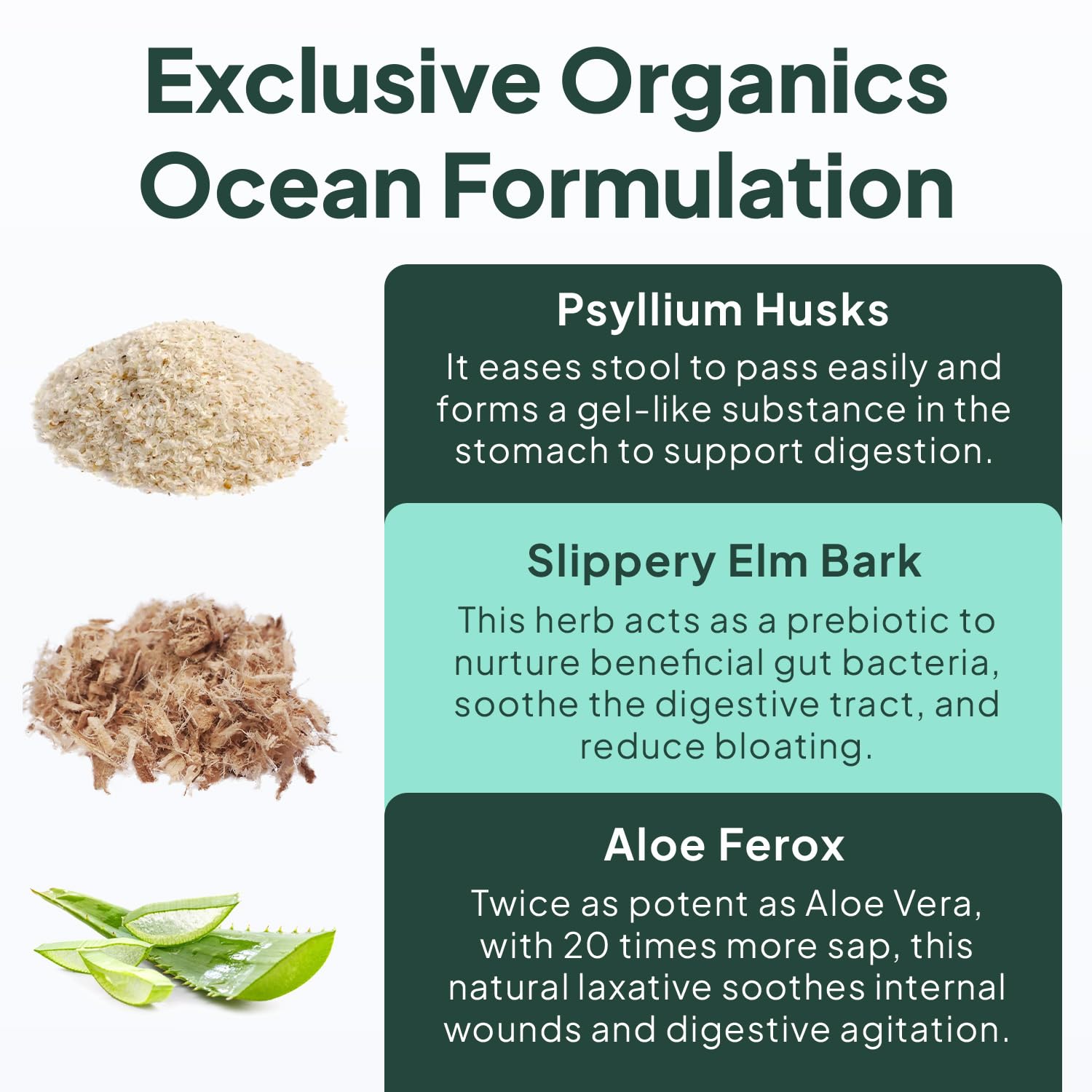 Organics Ocean High Fiber Supplement capsules on a wooden table
