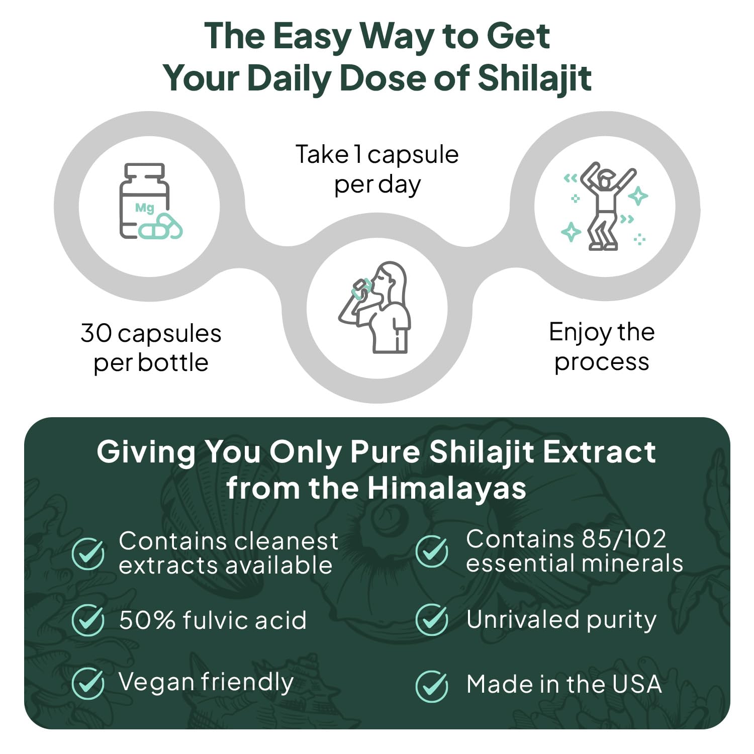 Organics Ocean Shilajit Capsules 250mg on a wooden table