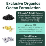 Organics Ocean Shilajit Gummies in a bowl with a spoon