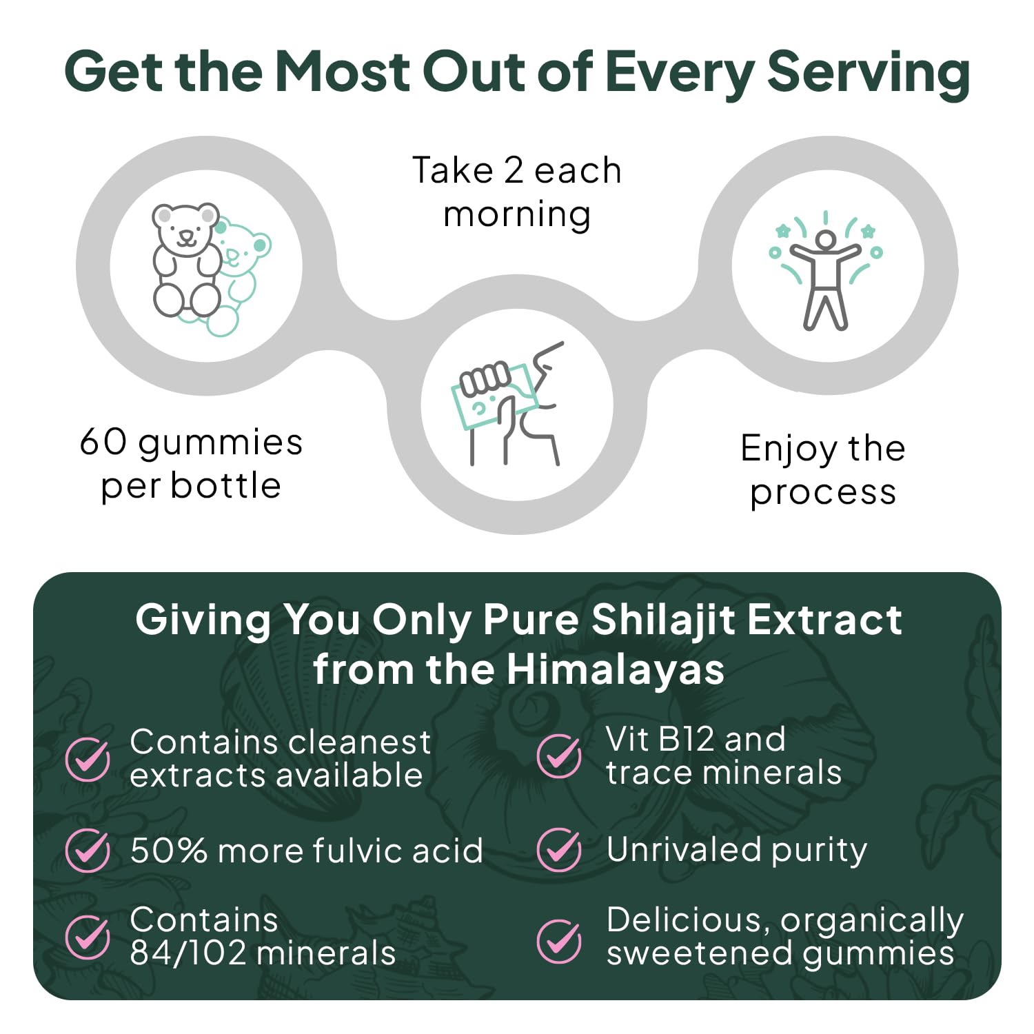 Organics Ocean Shilajit Gummies with fresh ingredients