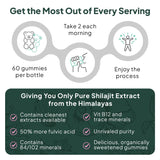 Organics Ocean Shilajit Gummies with fresh ingredients